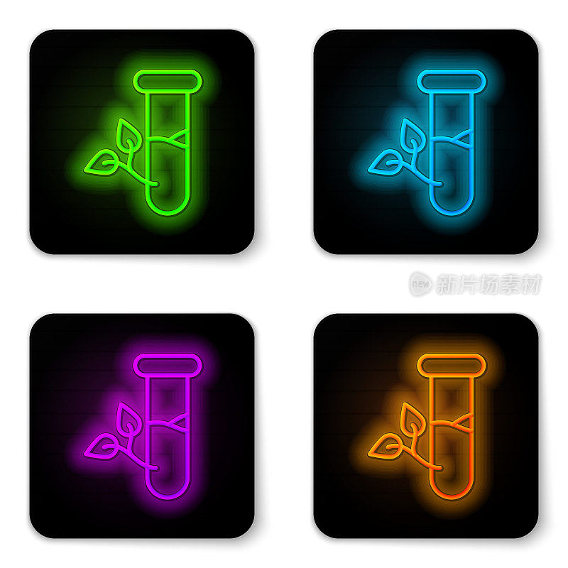 Glowing neon line Laboratory glass and leaves icon isolated on white background. Chemical test tube with leaf. Eco Lab. Black square button. Vector